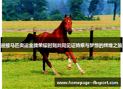 迎接马匹奥运金牌荣耀时刻共同见证骑乘与梦想的辉煌之旅