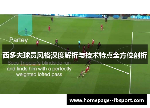 西多夫球员风格深度解析与技术特点全方位剖析 西多夫球员风格深度解析与技术特点全方位剖析