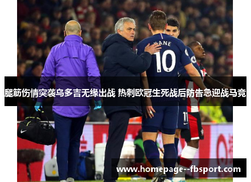 腿筋伤情突袭乌多吉无缘出战 热刺欧冠生死战后防告急迎战马竞 腿筋伤情突袭乌多吉无缘出战 热刺欧冠生死战后防告急迎战马竞
