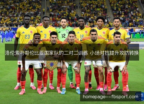 洛伦索与哥伦比亚国家队的二对二训练 小场对抗提升攻防转换